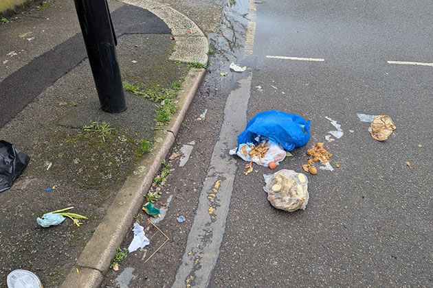 Glenhurst Road litter 