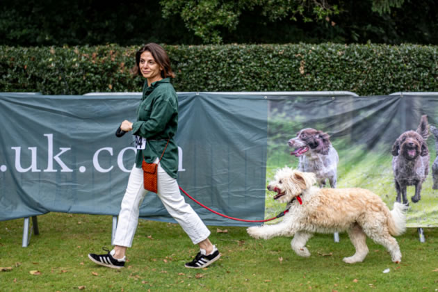 The dog show will be held on the cricket pitch