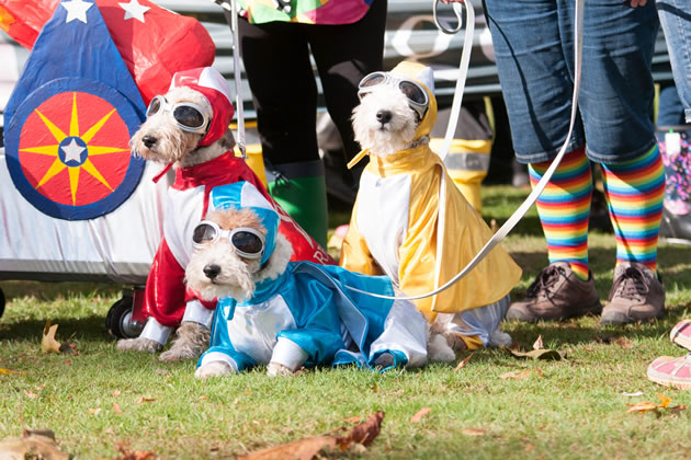 There is a pop festival feel to the fancy dress competition this year 