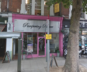 pampering palace beauty salon 