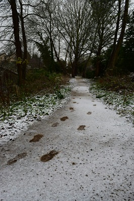 Hanwell Liz Jenner