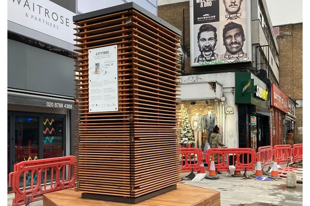 The City Tree in Putney town centre 