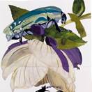 A close-up of a beetle on a flower  Description automatically generated