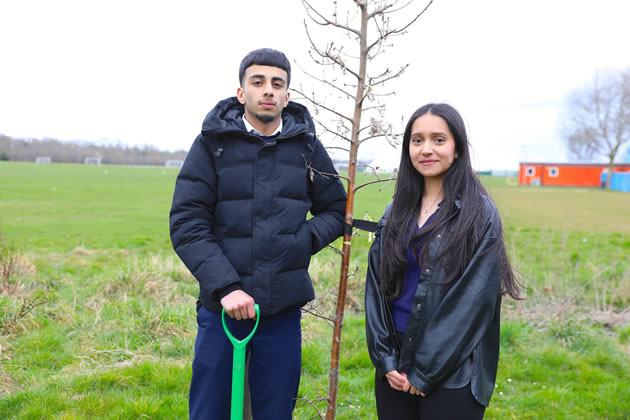 Schemes to be funded could include tree planting
