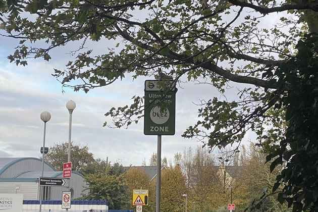 Branches Blocking One Of The Ulez Signs In Mortlake