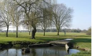 open space park