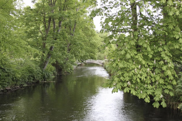 National Trust waters in Morden Hall Park. Picture: The Wandle Piscators