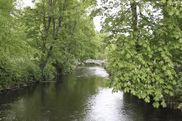 Local Angling Group Gains Access To National Trust Waters