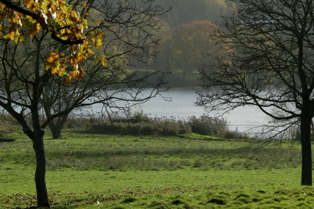 The golf course land which AELTC wants to develop.