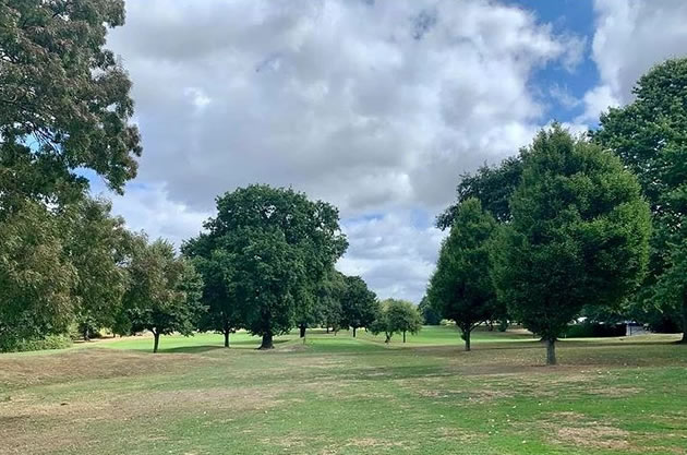 Trees at Wimbledon Park