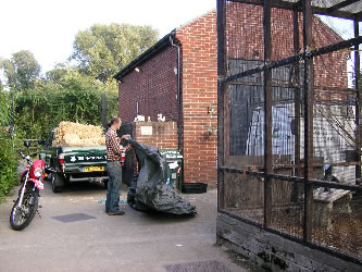 Deen City Farm Thanks Volunteers 