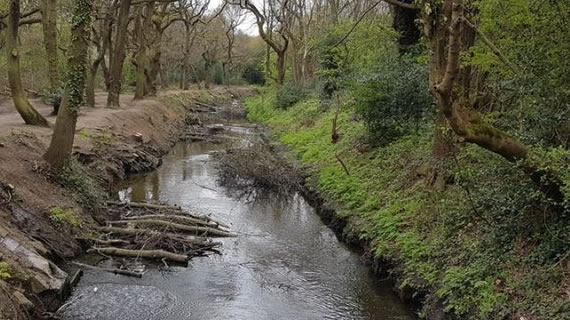 Beverley Brook on Wimbledon Common