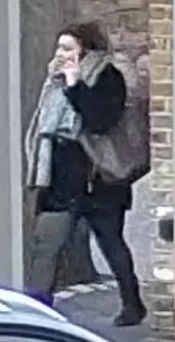 Police Seek Woman in Connection With Wimbledon Burglary