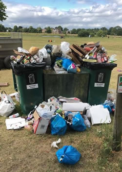 Wimbledon Common rubbish