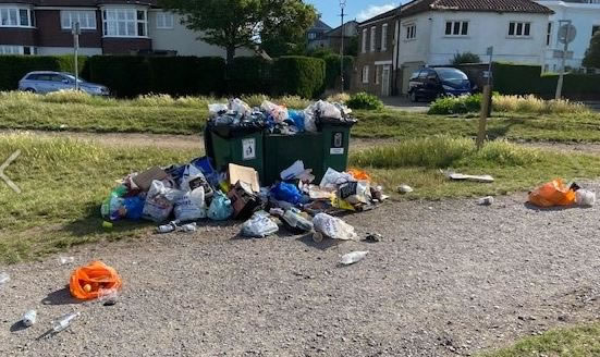 Rubbish on Wimbledon Common