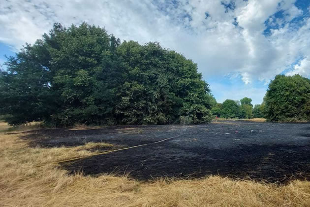 The fire ripped through the grass at Morden Hall Park