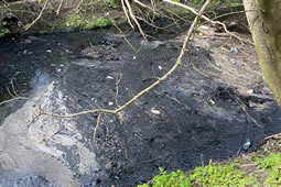 Long-term Damage Feared After Beverley Brook Oil Spill