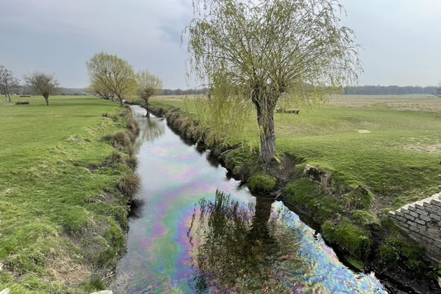 The oil spill was visible in Richmond Park