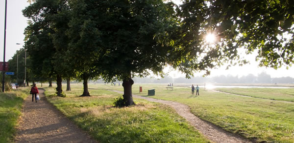 Wimbledon Common