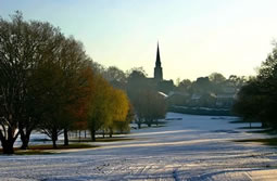 Local Opposition To Plans To Fell Wimbledon Park Trees