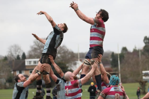 Rugby Result: Region 1 South Central - Wimbledon 41-10 Sutton & Epsom
