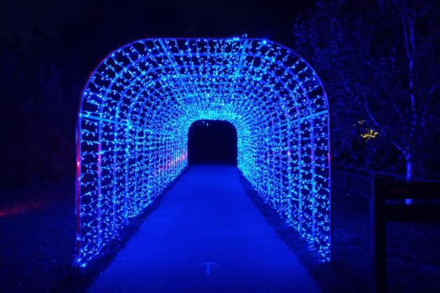 Wetland centre Illuminature entrance tunnel